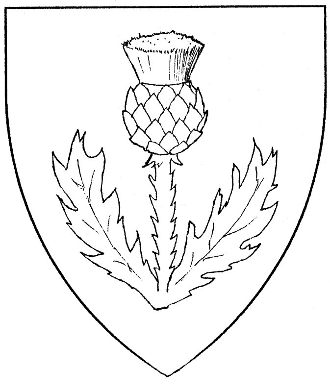 чертополох символ шотландии