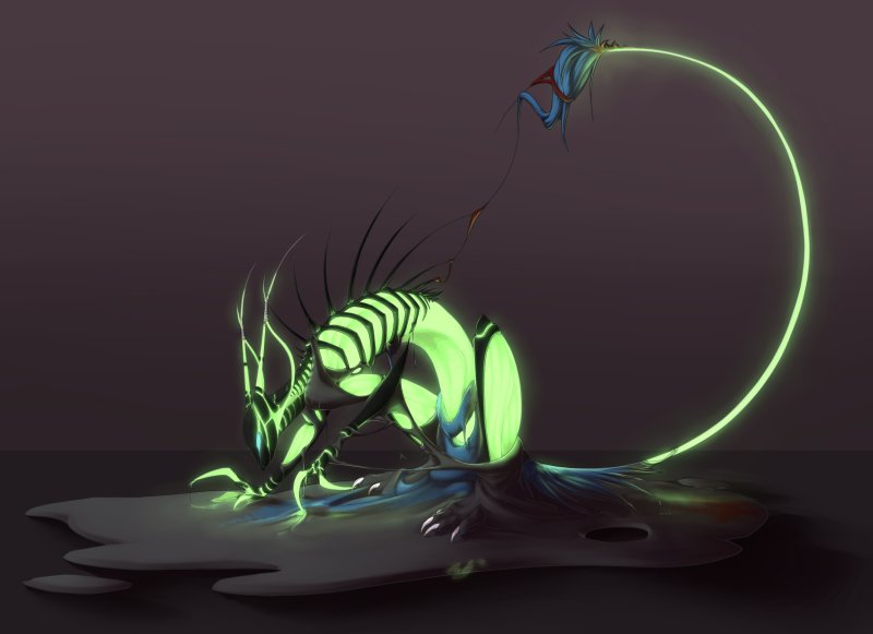 Кот дракон