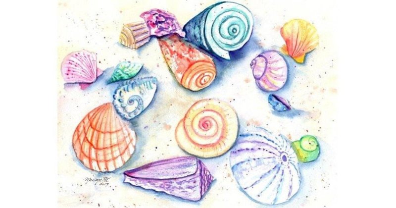 Рисование на ракушках