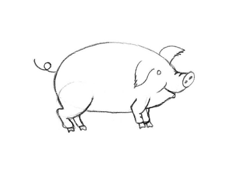 Нарисовать свинью