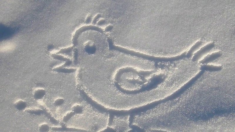 Фестиваль рисунков на снегу