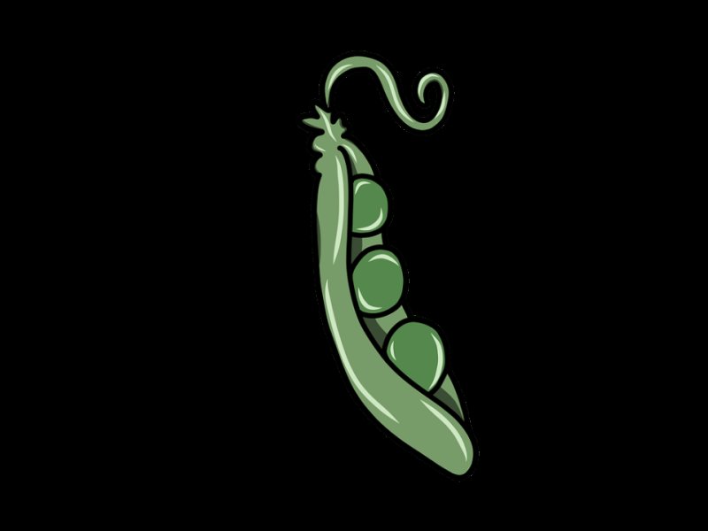 Горох рисунок