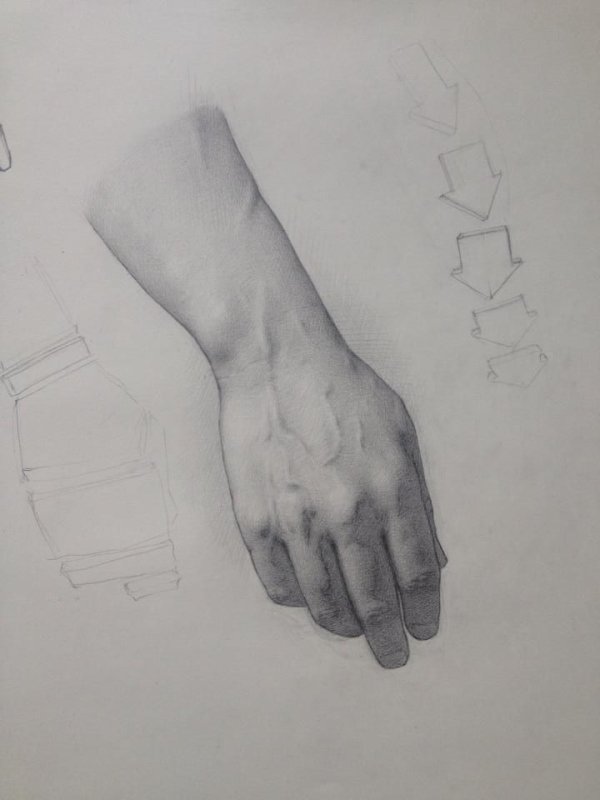 Зарисовки рук
