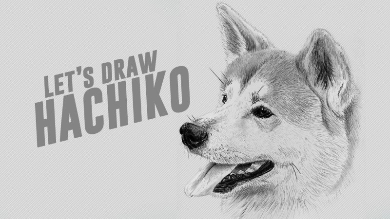 Хатико легкие