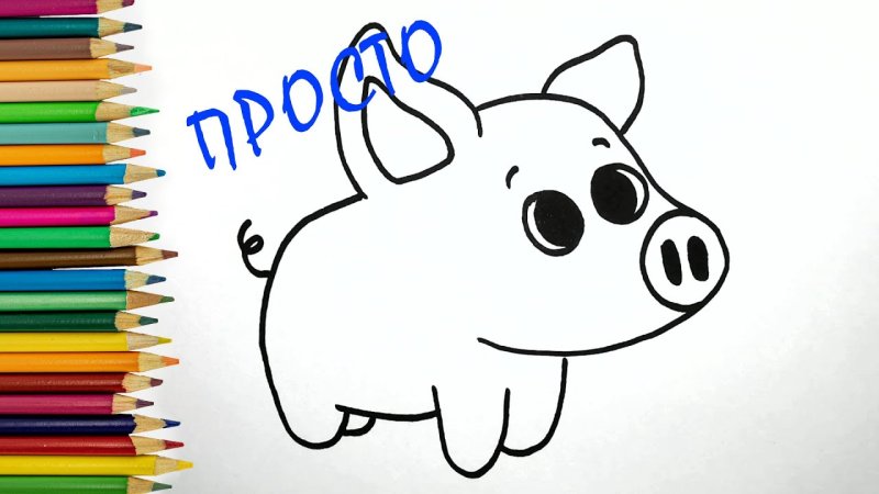 Свинья рисунок легкий