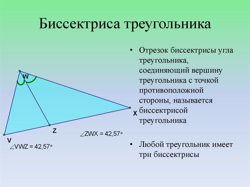 Биссектриса треугольника
