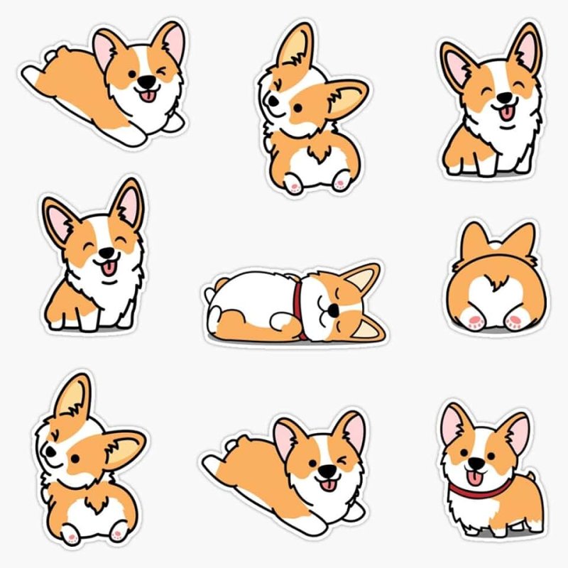 Эволюция корги