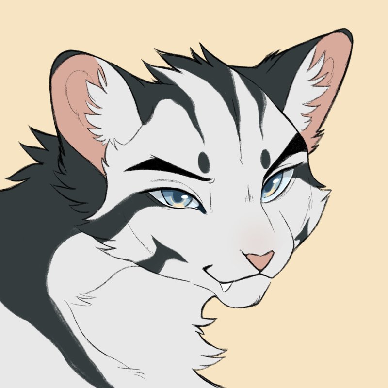 долгохвост коты воители