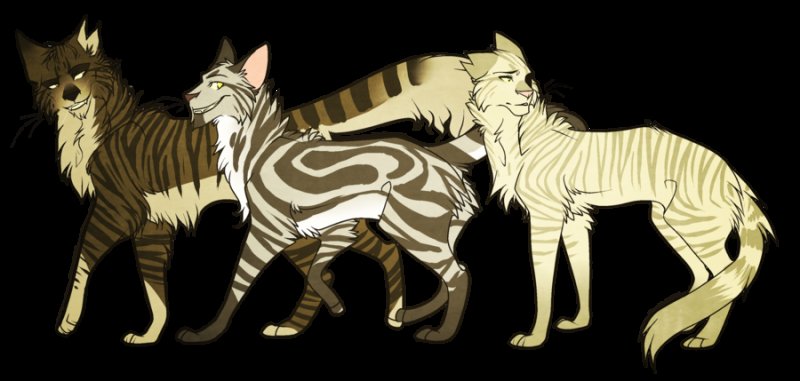 Longtail коты Воители