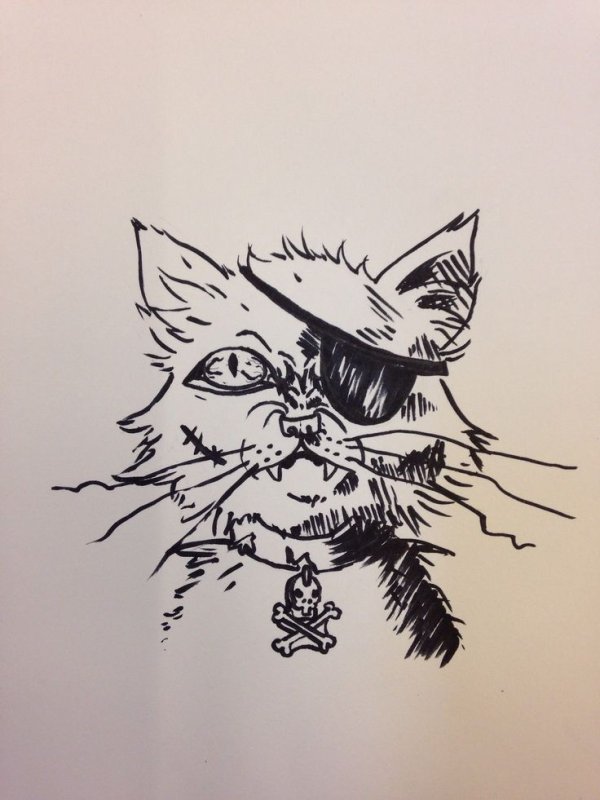 Эскиз котика