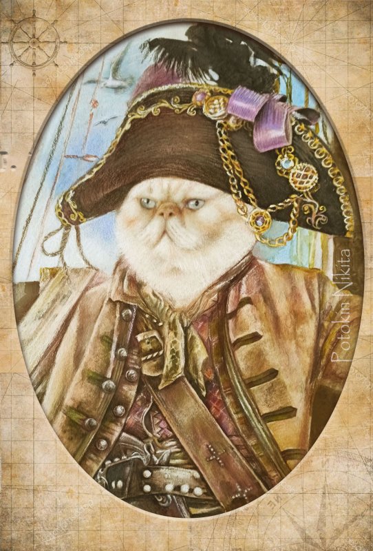 Кот матрос