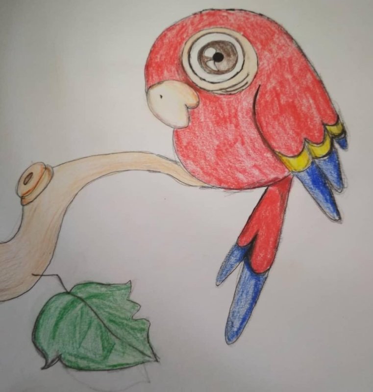 рисунок попугая для срисовки