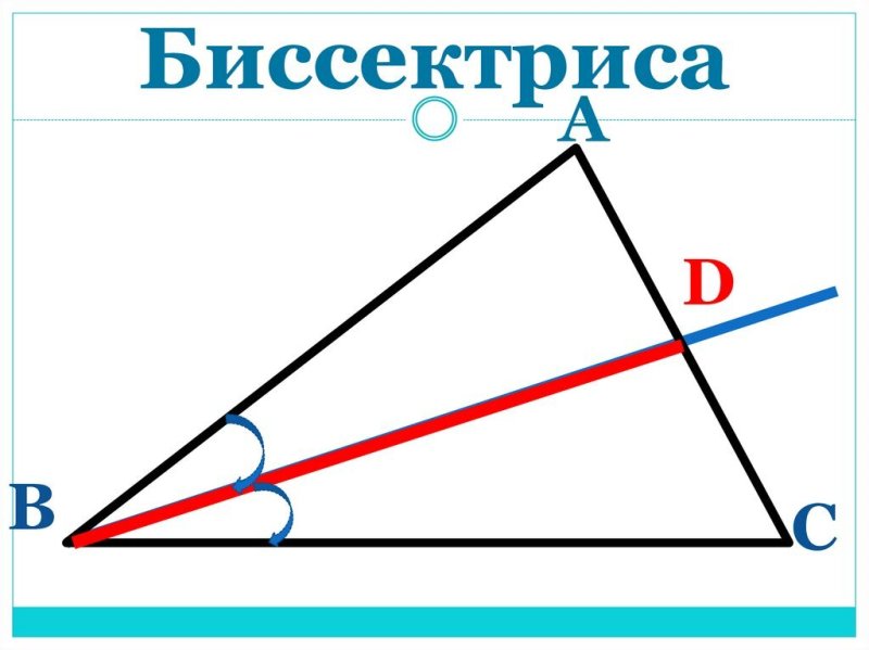 Биссектриса рисунок