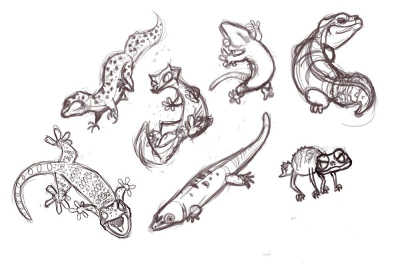 Геккон эублефар референс