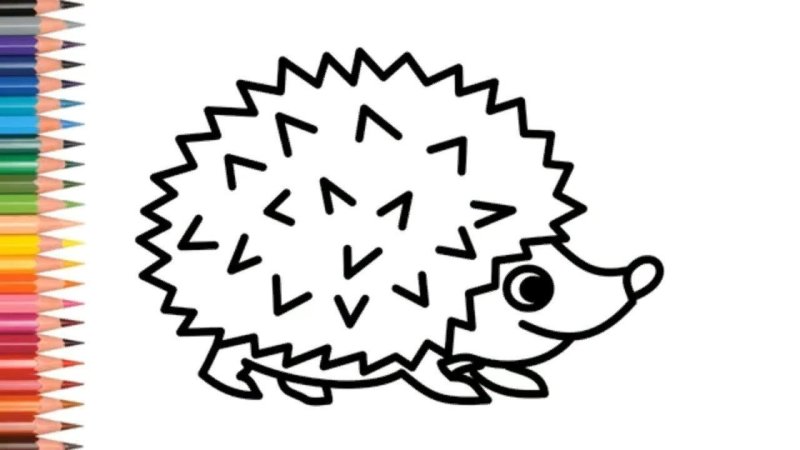 раскраска ежик