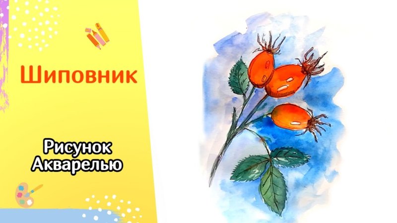 Как рисуется шиповник