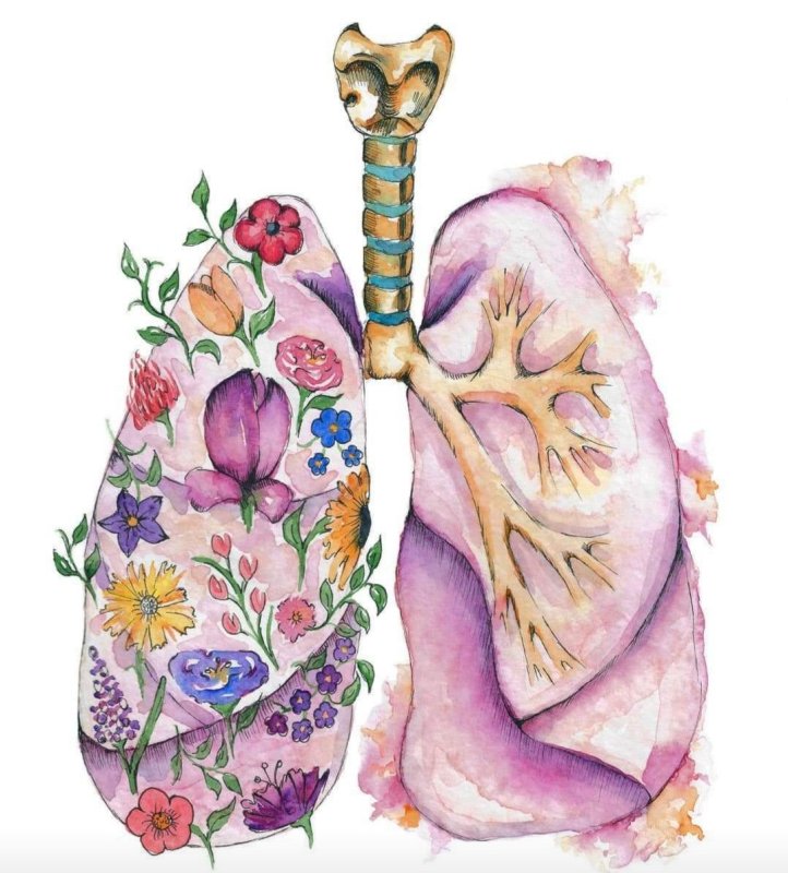 Легкие рисунки
