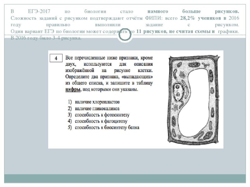 Задачи по биологии ОГЭ