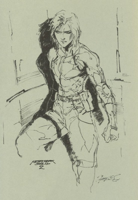 Metal Gear Solid 2 Raiden