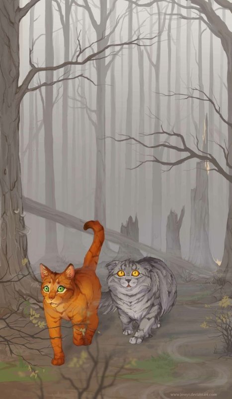 Коты Воители Огнезвёзд и Крутобок