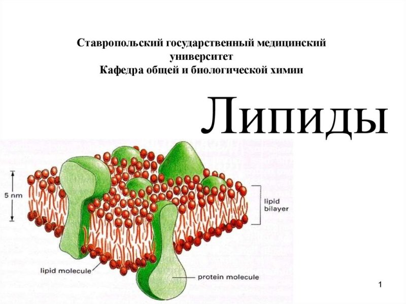Рисунок липидов в крови