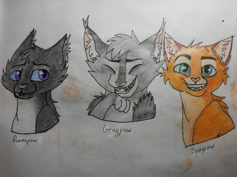 Коты Воители Крутобок