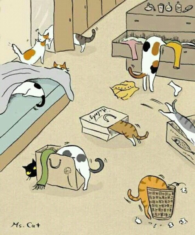 Рисунки кошек прикольные