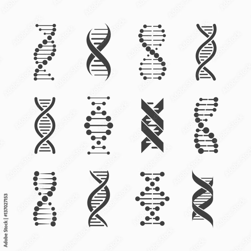 Спираль ДНК Татуировка