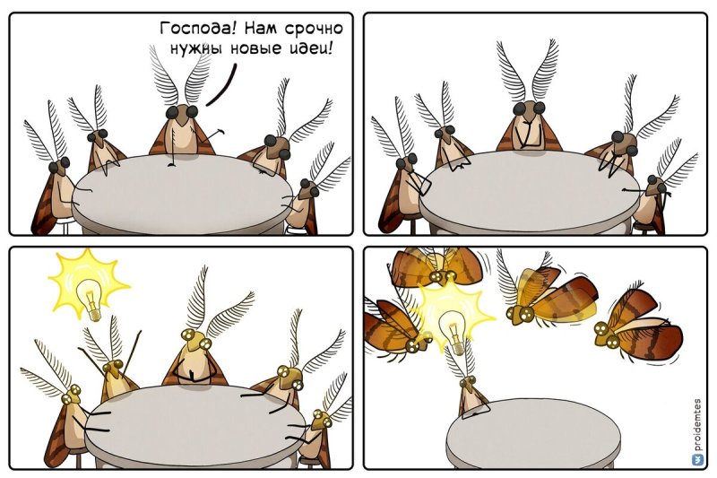Бредовые идеи юмор