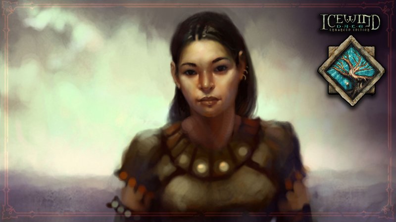 Icewind Dale 2 портреты