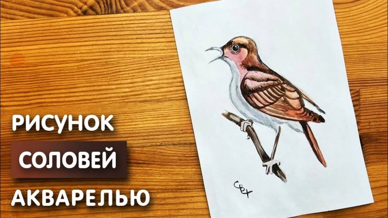 Соловей маленький