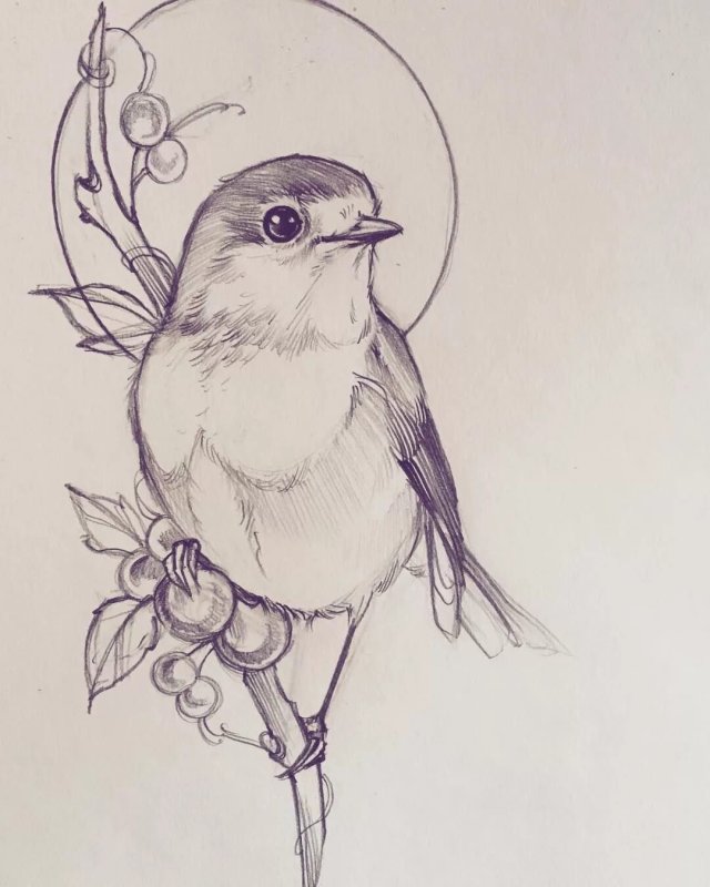 Птица рисунок