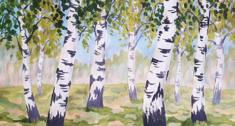 Береза рисунок