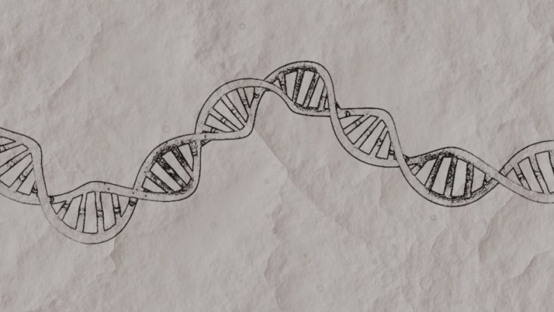ДНК рисунок карандашом