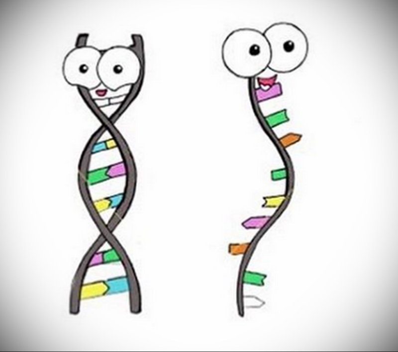 Смешная ДНК