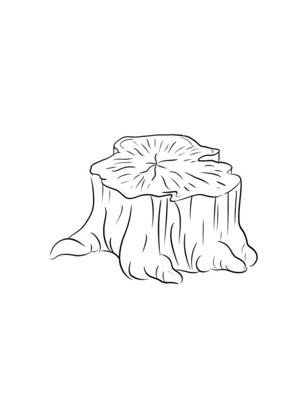 Пенек карандашом