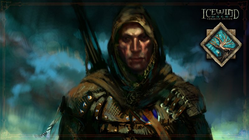 Icewind Dale 2 портреты персонажей