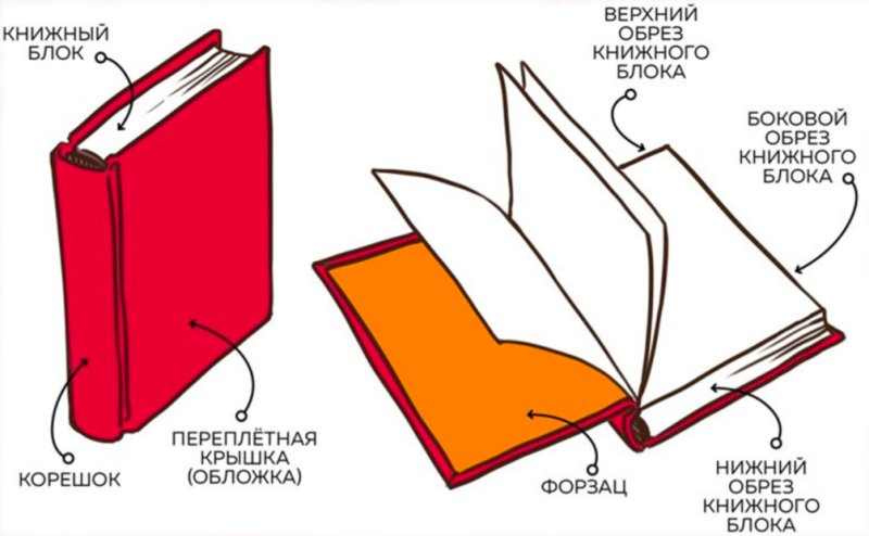 Из чего состоит книга форзац обложка