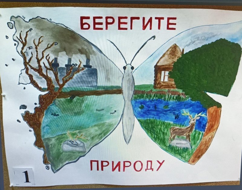 Рисунок на тему береги природу