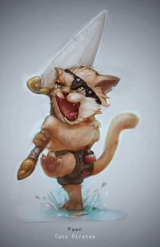 Пиратский кот