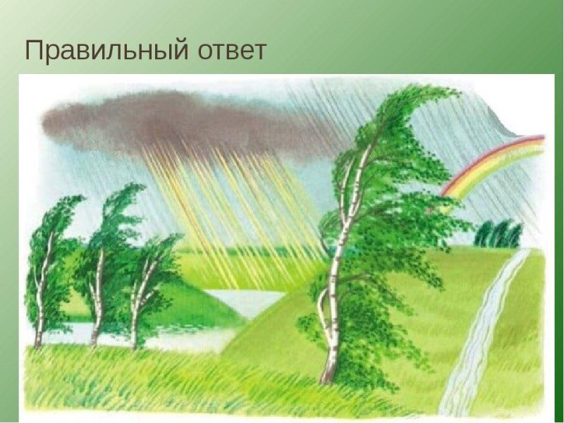 Природа цветными карандашами