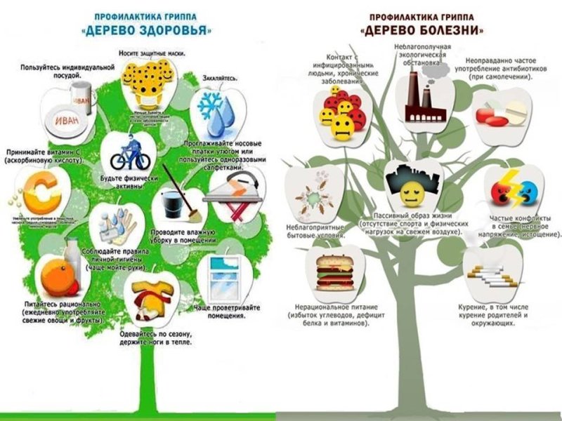 Дерево здоровья для дошкольников
