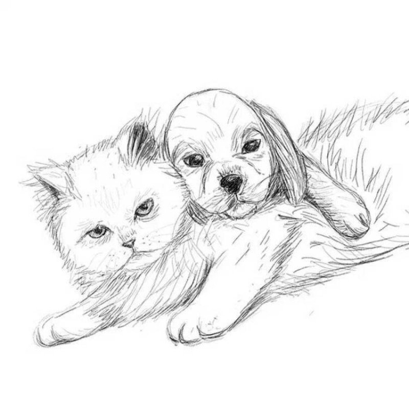 Рисунки для срисовки собачки