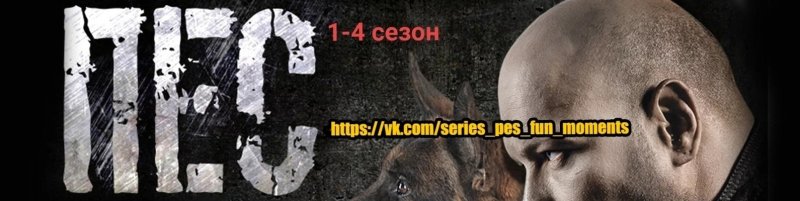Пес НТВ Никита Панфилов