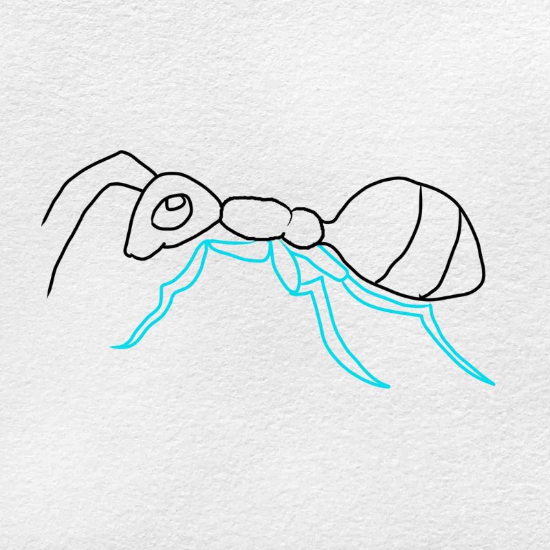 Муравей рисунок для детей