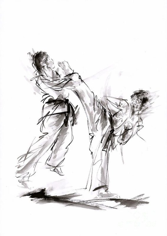 Каратэ киокусинкай арт