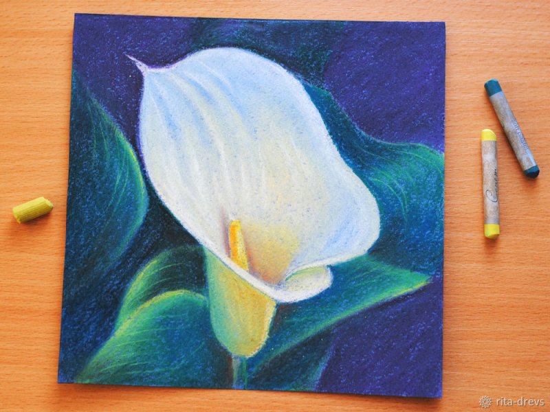 Рисунки пастелью