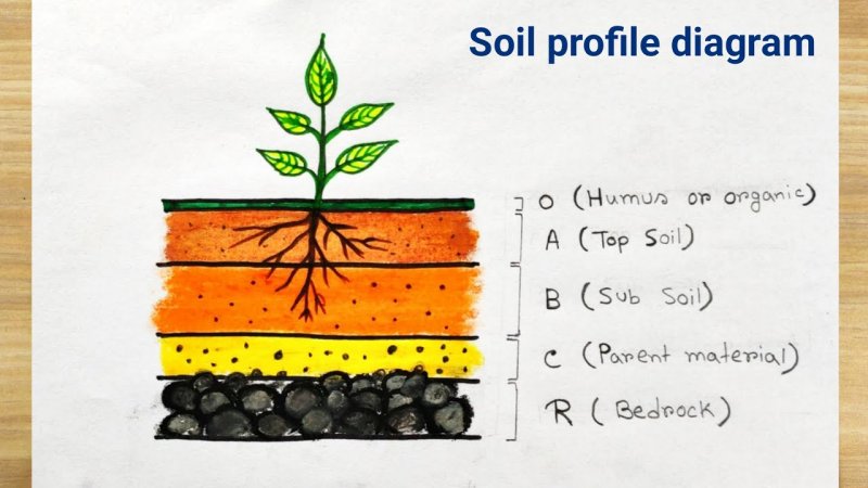 Soil layers