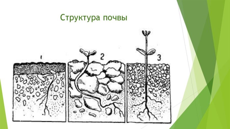 Сложение почвы