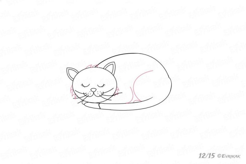 Спящий кот рисунок